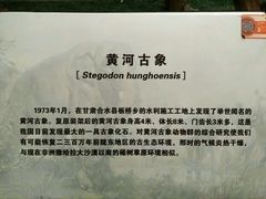 -甘肃省博物馆