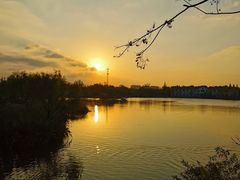 -上海长兴岛郊野公园