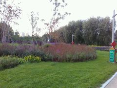 android_upload_pic-长春公园(普阳街道)