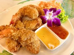 -Jungle Kitchen