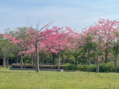 -风云岭森林公园