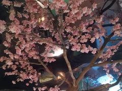 -荷塘秋月·本帮江浙菜(国权路店)