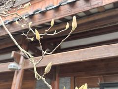 -常德桃花源景区