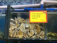 -蚝专家(北滘店)