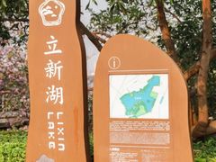 -立新湖公园