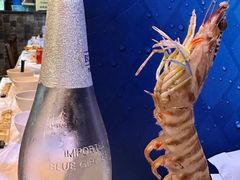 -鲜入围煮花胶鸡海鲜火锅