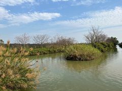 -大湾区中央湿地公园