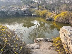 -石家庄市植物园