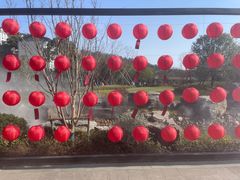 -黄贤森林公园