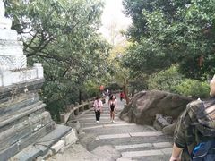-灵岩山风景区