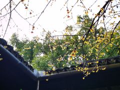 -西园戒幢律寺