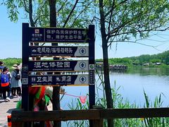 -溱湖国家湿地公园
