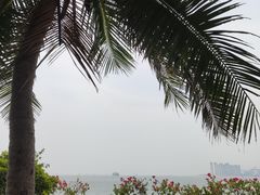 -西秀海滩公园