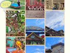 -呀路古热带植物园