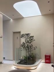 -比华利美容医院