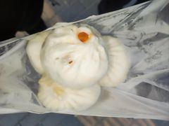 -白水包子(东一路店)