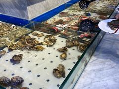 -川骄海鲜自助(河东店)