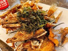 -九华山聚龙大酒店