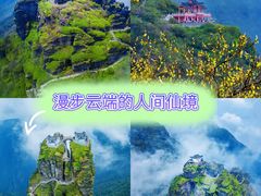 -梵净山旅游区