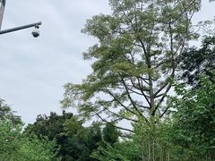 -炮台山公园