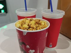 -红星电影世界上海张江绿地店