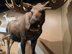 -陕西自然博物馆