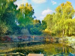 -三忘湖 SWANSEEN(柳荫公园店)