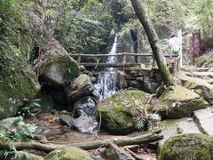 -南丹山森林王国