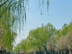 -元大都城垣遗址公园
