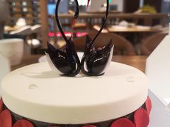 -BLACKSWAN黑天鹅(环球店)