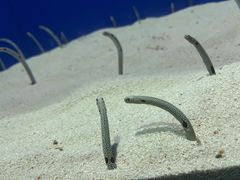 -上海海洋水族馆