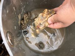 -天津东疆湾沙滩景区