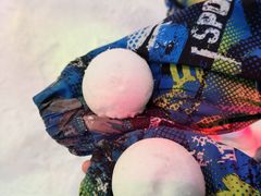 -世界之窗阿尔卑斯冰雪世界