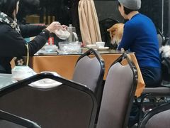 大堂-沙田鸽王(解放路店)