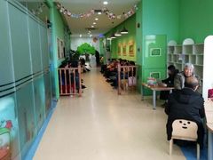 -小问号·科学启蒙·逻辑思维·阅读素养·口才演讲(杨浦合生汇中心)