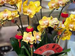 -双季花艺园艺市场(浦东店)