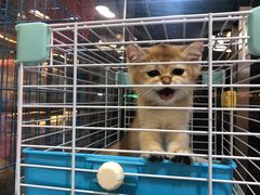 -宠爱我(南山店)