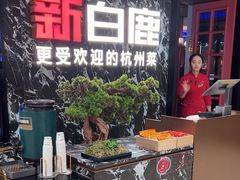 -新白鹿餐厅(百联中环店)