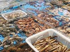 -大连湾旭日·家宴·海肠捞饭(马栏广场店)