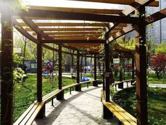 -西北大学(桃园校区)