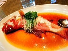 清蒸东星斑-御宝轩(益丰·外滩源店)