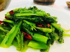 -明升萝卜汤