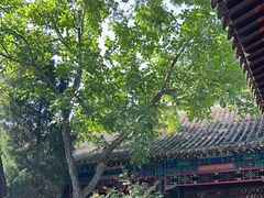 -保定直隶总督署博物馆