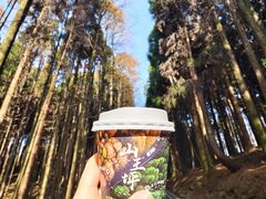 -山王坪喀斯特国家生态公园