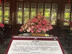 -上海醉白池公园
