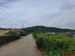 -凤凰山国家森林公园
