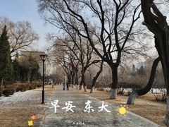 -东北大学(南湖校区)