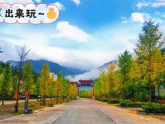 -秦岭天竺山景区