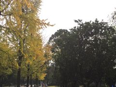 -四川大学(望江校区)
