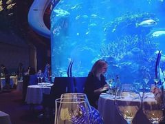 -迪拜帆船酒店海底餐厅